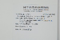 燈稱花、烏雞骨藏品圖，第2張