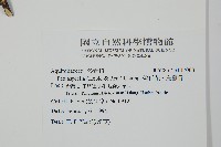 燈稱花、烏雞骨藏品圖，第2張