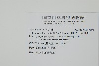 燈稱花、烏雞骨藏品圖，第2張