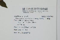 燈稱花、烏雞骨藏品圖，第2張