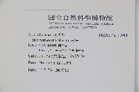 糊樗藏品圖，第2張