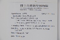 草野氏冬青藏品圖，第2張