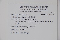 草野氏冬青藏品圖，第2張