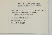 交趾衛矛藏品圖，第2張