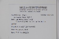 鐵冬青藏品圖，第2張