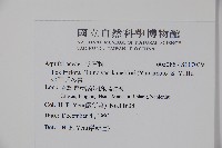 金平氏冬青藏品圖，第2張