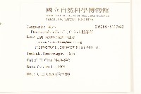 鵝仔草藏品圖，第2張