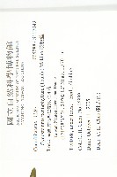 絞股藍藏品圖，第2張