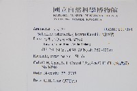 鵝掌蘗藏品圖，第2張