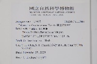 臺北附地草藏品圖，第2張