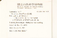 過山龍藏品圖，第2張