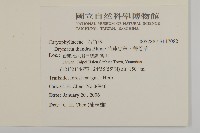 荷蓮豆草、菁芳草藏品圖，第2張