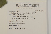 地膽草、毛蓮菜藏品圖，第2張