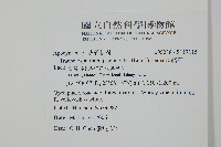 絡石藏品圖，第2張