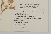 卷耳藏品圖，第2張