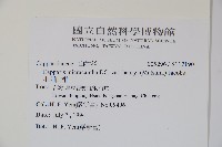 小刺山柑藏品圖，第2張