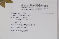 向天黃藏品圖，第2張