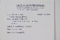 向天黃藏品圖，第2張