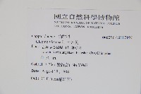 向天黃藏品圖，第2張