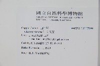 向天黃藏品圖，第2張