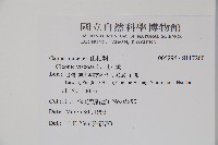 向天黃藏品圖，第2張