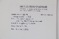 向天黃藏品圖，第2張