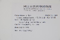 平伏莖白花菜、成功白花菜藏品圖，第2張