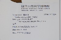 黃鐘花藏品圖，第2張