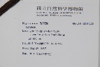 登錄號:S117238藏品圖，第2張