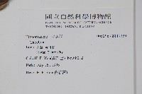 登錄號:S117239藏品圖，第2張