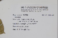 登錄號:S117240藏品圖，第2張