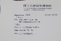 登錄號:S117241藏品圖，第2張