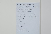 枸骨藏品圖，第2張