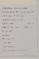 珍珠蒿、奇蒿藏品圖，第2張