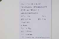 革葉獼猴桃藏品圖，第2張