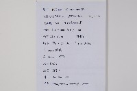 華九頭獅子草藏品圖，第2張