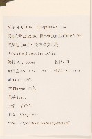 異葉澤蘭藏品圖，第2張