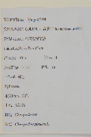 灰綠藜藏品圖，第2張