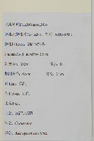 山白蘭藏品圖，第2張