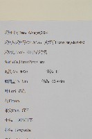 白花鬼針藏品圖，第2張