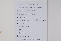 柳葉水蓑衣藏品圖，第2張