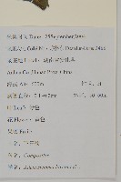 下田菊藏品圖，第2張