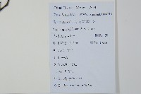 鼠李冬青、滿樹星藏品圖，第2張