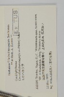 昆明山海棠藏品圖，第4張