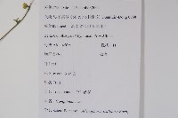杏葉沙參藏品圖，第2張