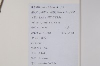 毛果槭藏品圖，第2張