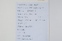 青葙藏品圖，第2張