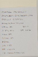 角菜、珍珠菜藏品圖，第2張