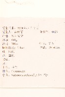 雞兒腸藏品圖，第2張