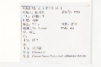 阿里山珍珠蓮藏品圖，第2張